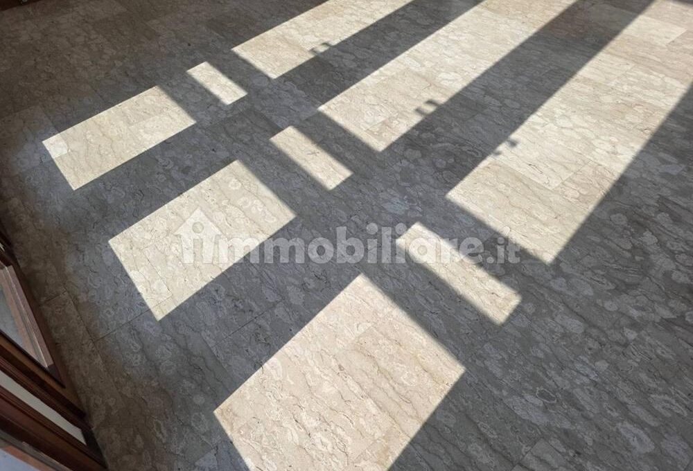 cavall1300-003-copy