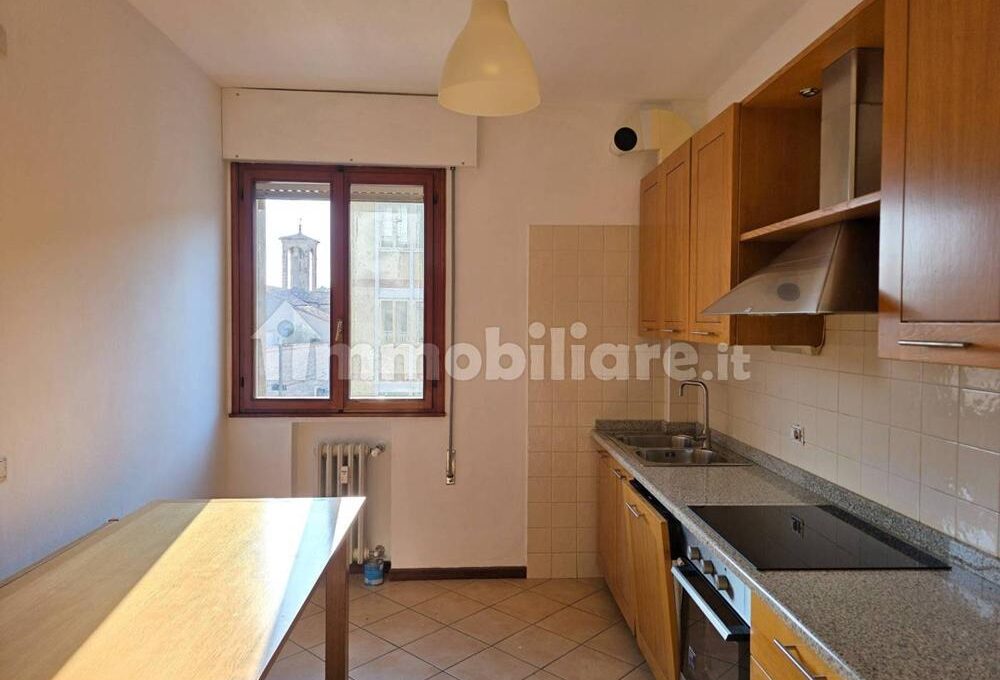 cavall1300-004-copy
