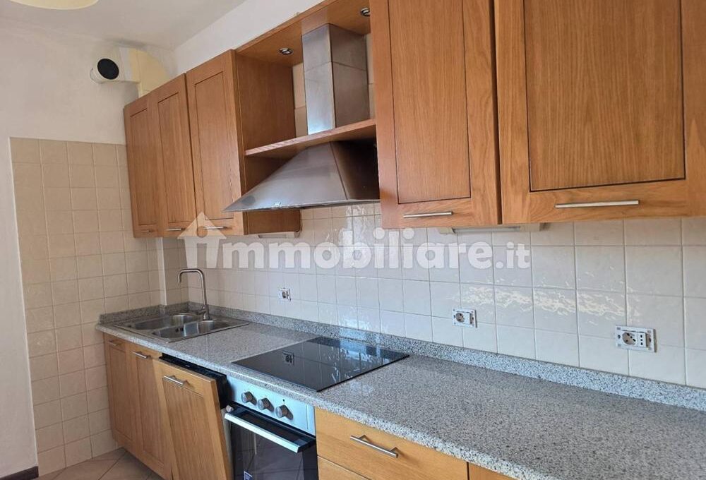 cavall1300-005-copy
