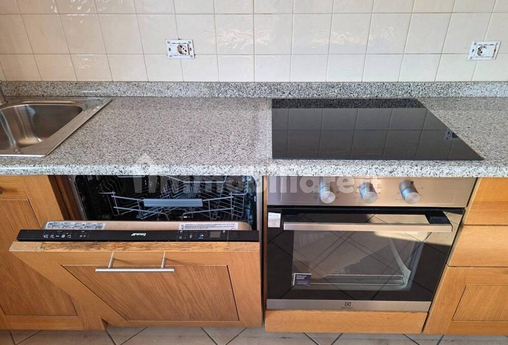 cavall1300-006-copy