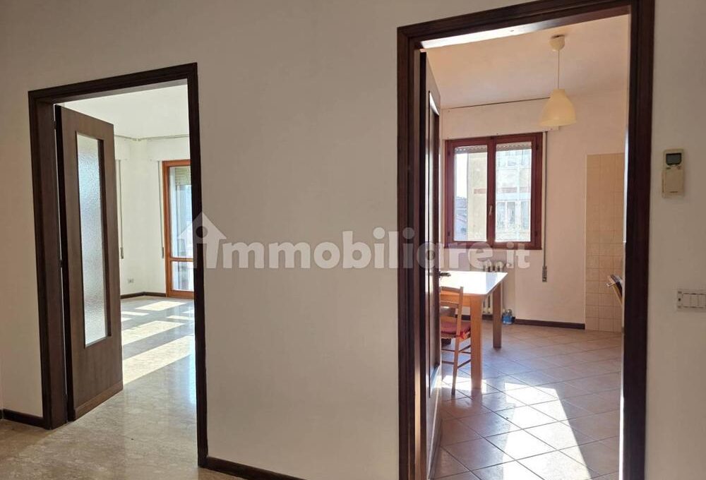 cavall1300-007-copy