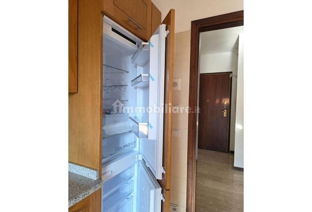 cavall1300-008-copy