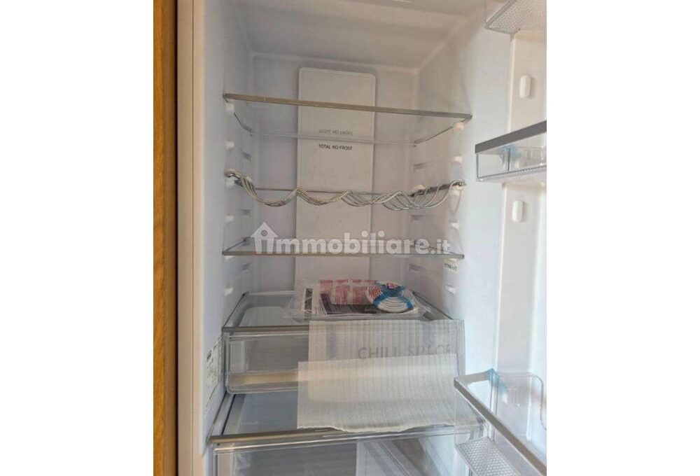 cavall1300-009-copy
