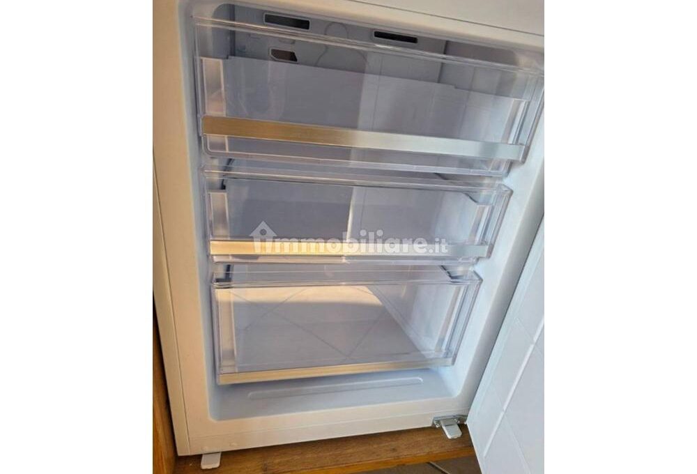 cavall1300-010-copy