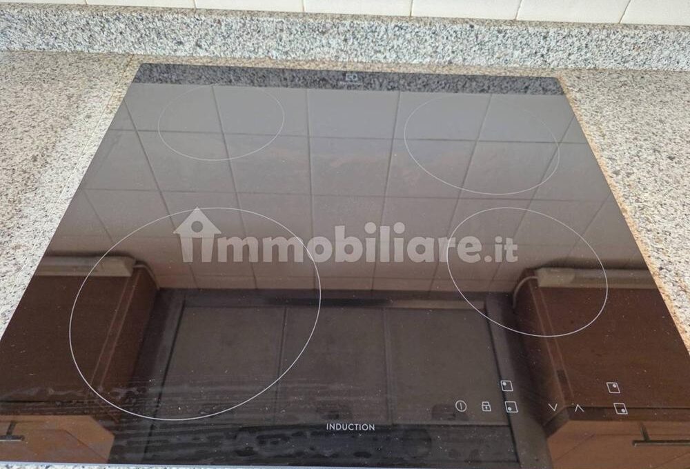 cavall1300-011-copy