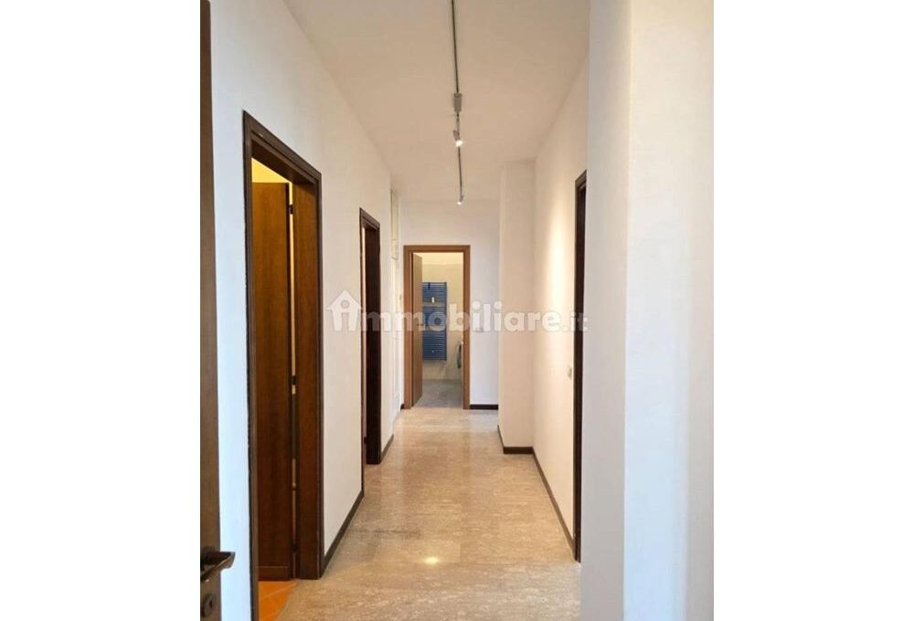 cavall1300-015-copy