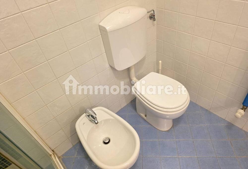 cavall1300-023-copy