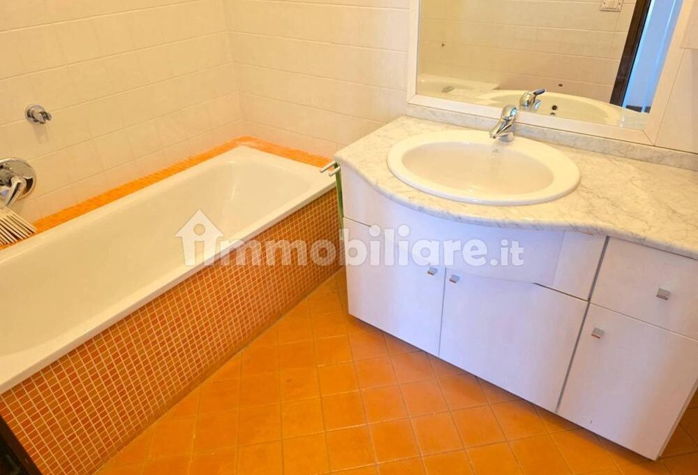 cavall1300-025-copy