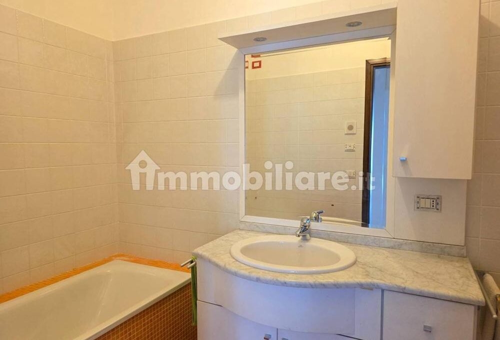cavall1300-026-copy