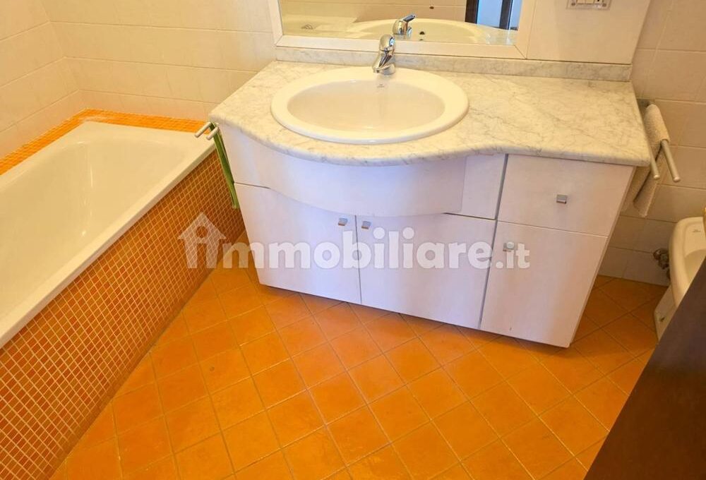 cavall1300-027-copy