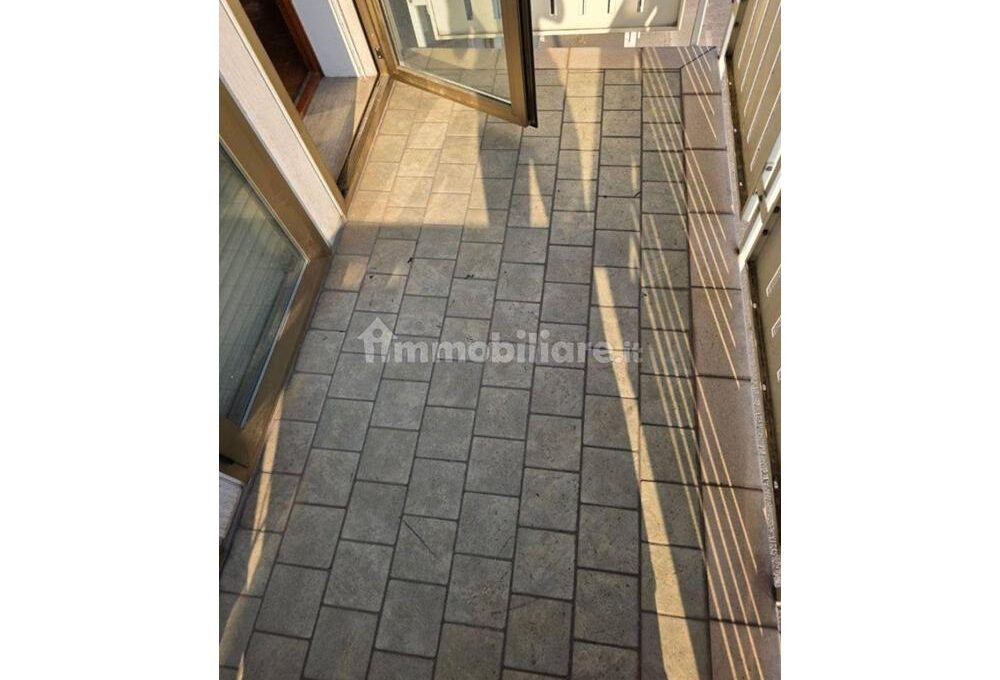 cavall1300-028-copy