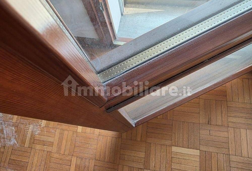 cavall1300-029-copy