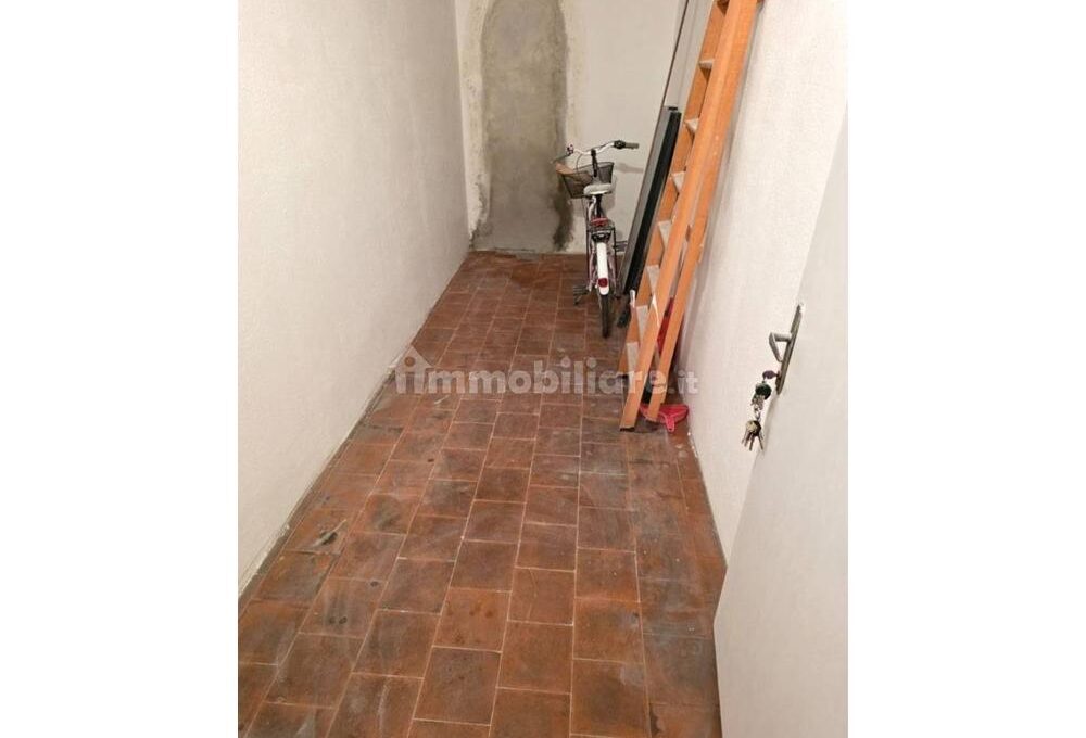 cavall1300-031-copy