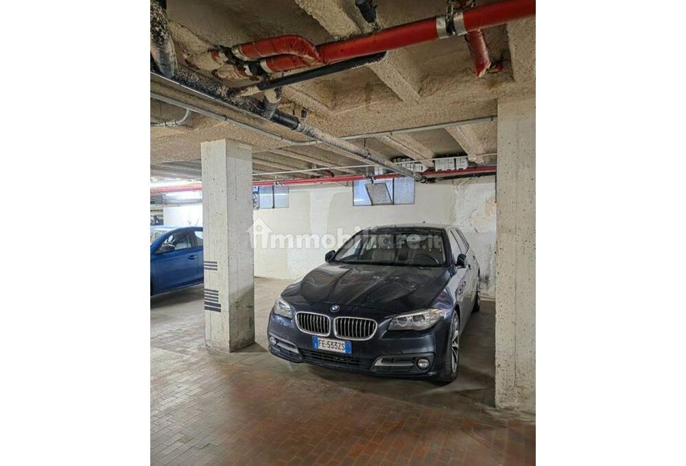 cavall1300-032-copy