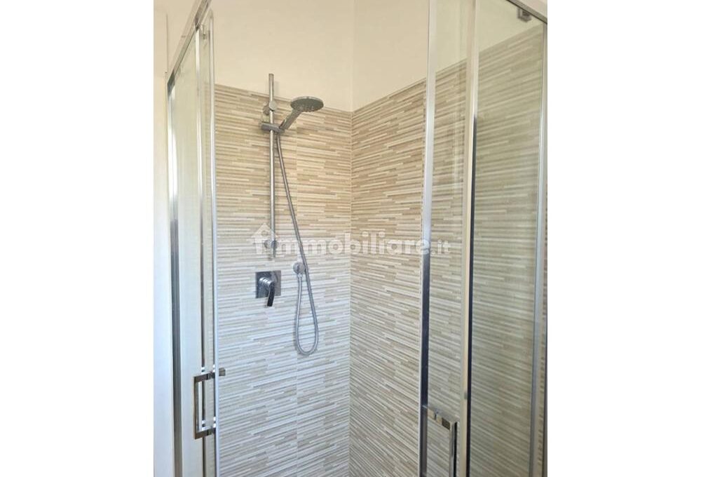facciol1100-006-copy