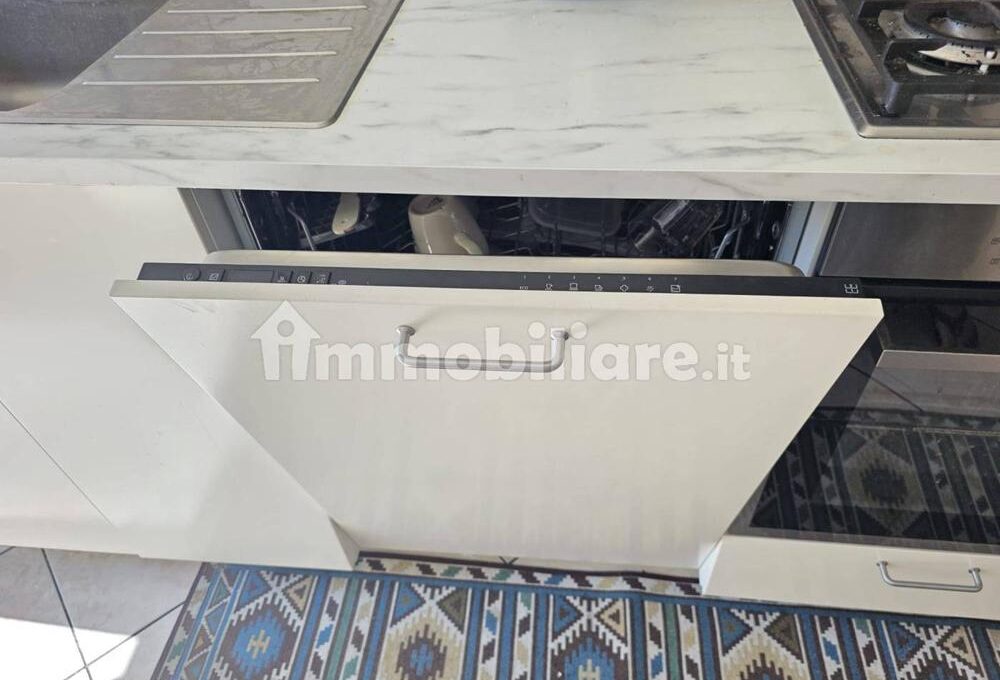 facciol1100-026-copy
