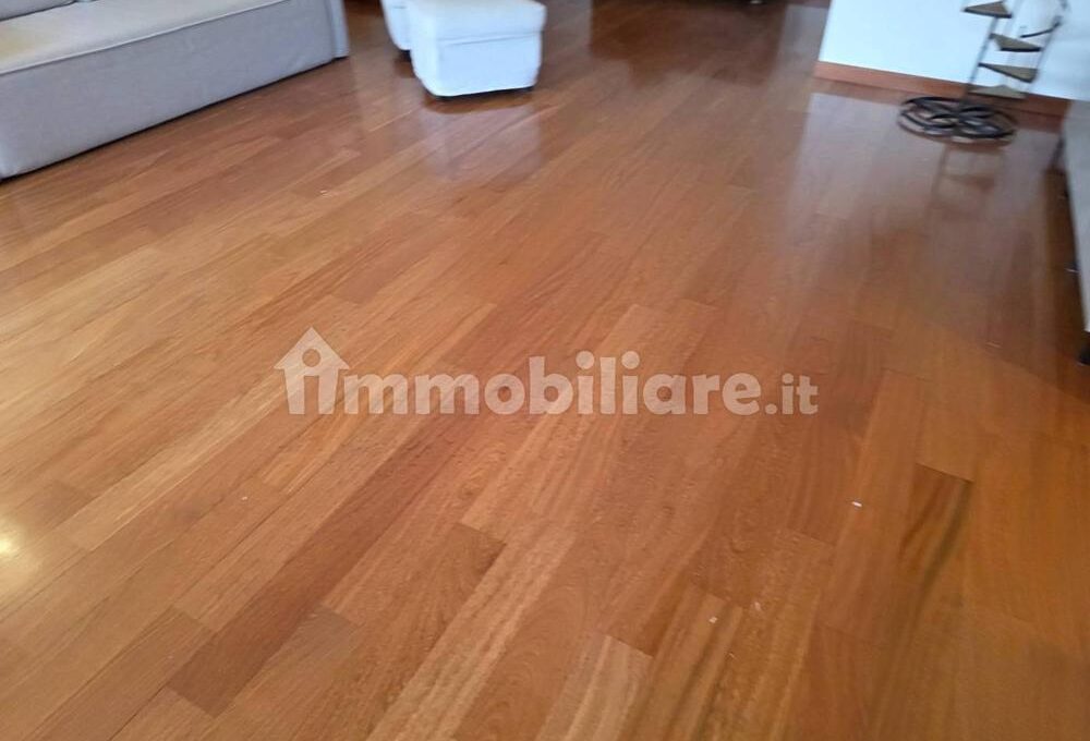 montel1160-006-copy