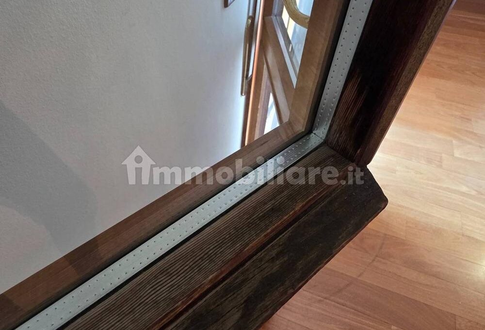 montel1160-016-copy